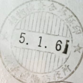 Amazon.co.jp: 【種子】サイカスspタイシルバー シルバーソテツ 1個