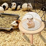 Zoom IMG-1 vasca da bagno con sabbia Zoom IMG-1 vasca da bagno con sabbia