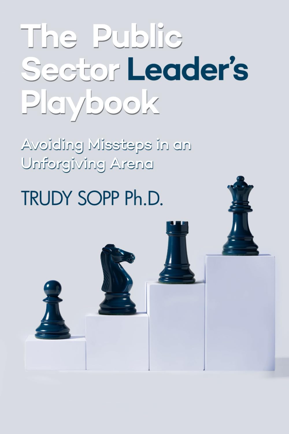 The Public Sector Leader’s Playbook: Avoiding Missteps in an Unforgiving Arena