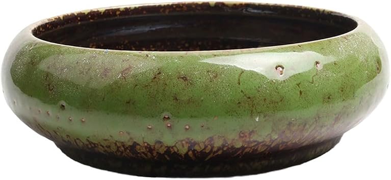 Lotus Bowl Planter, Lotus Bowls for Planting in Water Indoors,6.5-inch Round Succulent Flower Pot with Rotating Bracket, Leak-Proof Design, Suitable for hydroponic Plants, Succulents Light Green