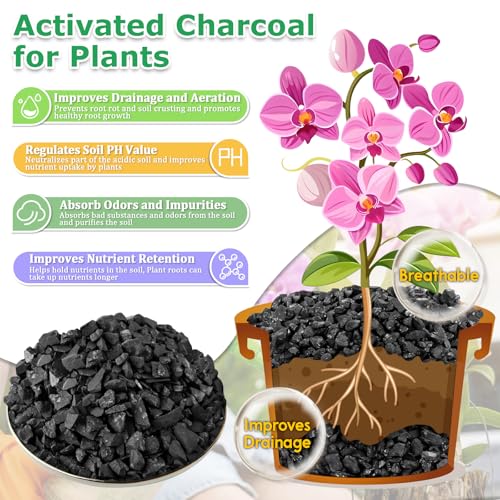 Image of Legigo 6 QT Horticultural Charcoal- Natural Biochar Soil Amendment
