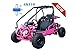 125cc Gokart Gk110 Kandi Mini Raptor 125cc Kart Gokart with Reverse and Big 16 inches Wheels for Gas Go Kart Kids and Youth (Pink)