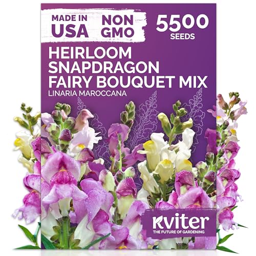 KVITER 5,500 Fairy Bouquet Mix Snapdragon Seeds for Planting (Linaria Maroccana) – Known as Toadflax, Heirloom & Organic – Flower Seeds to Plant Outside & Inside – Garden, Containers, Borders, Beds