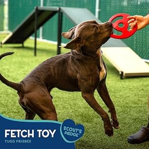 Good Scout Tugg Frisbee Dog Toy for Tugging & Chewing, Best Dog Toy for Fetch, Aggressive Chew Toy for Puppies & Adult Dogs, No Stuffing Dog Toy for Medium & Large Dogs Good Scout Tugg Frisbee Dog Toy for Tugging & Chewing, Best Dog Toy for Fetch, Aggressive Chew Toy for Puppies & Adult Dogs, No Stuffing Dog Toy for Medium & Large Dogs