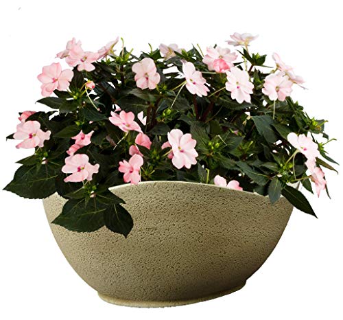 Classic Home and Garden Arc Pot 12" Desert - Image 3