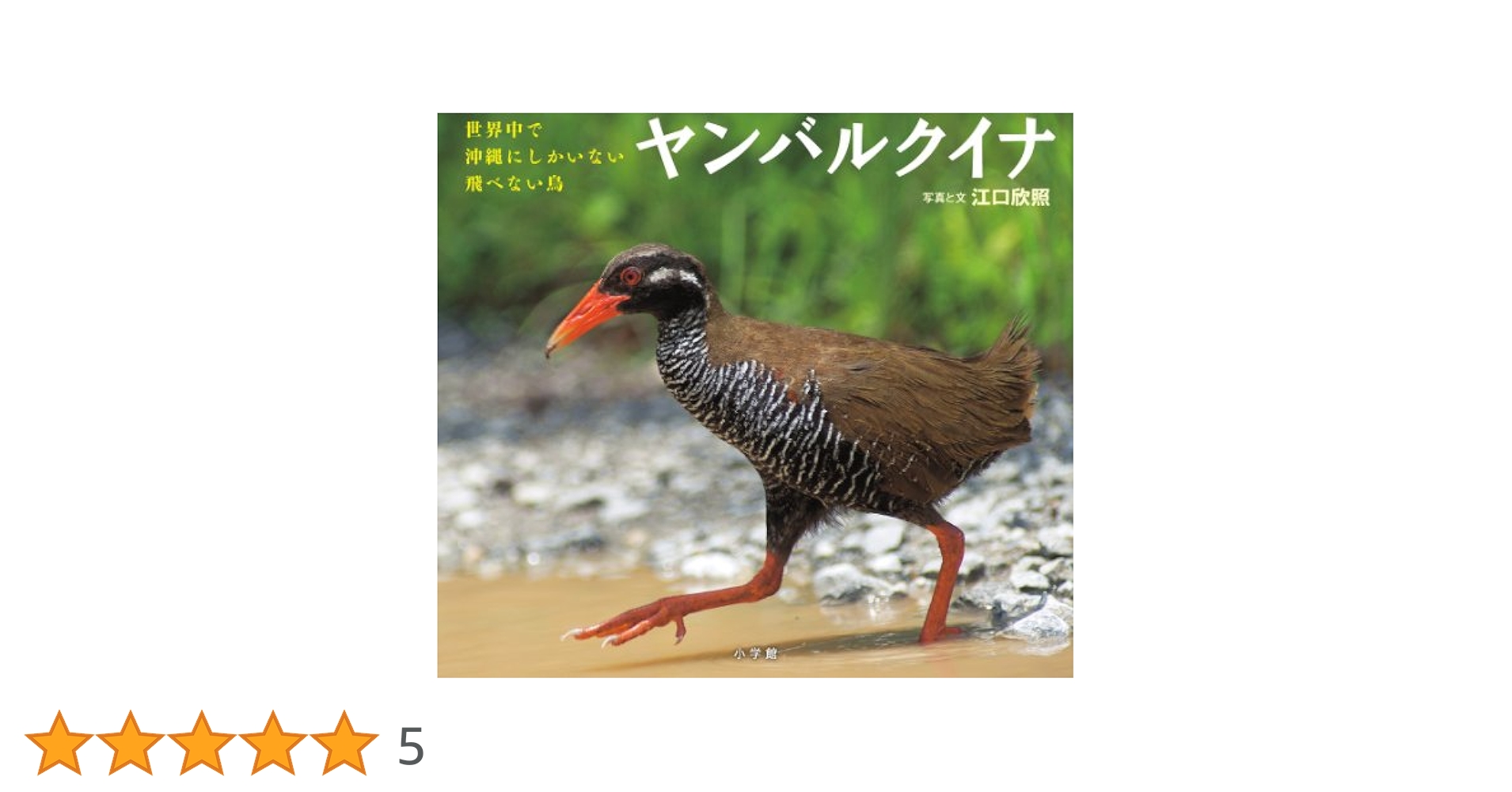 ヤンバルクイナ: 世界中で沖縄にしかいない飛べない鳥 (小学館の