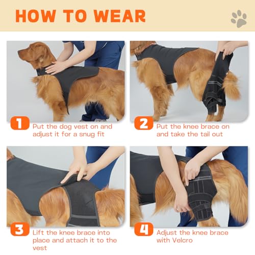 Image of Dog Knee Brace for Hind Legs - Adjustable Dual Dog Leg Brace for Back Leg Helps with Torn ACL /CCL, Luxating Patella, Ligament Injuries, Osteoarthritis,L