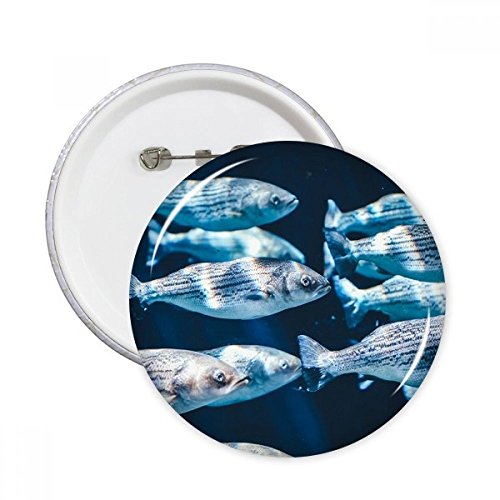 Pins poissons animaux marins XXL pour décorer vos vêtements et sacs de voyage