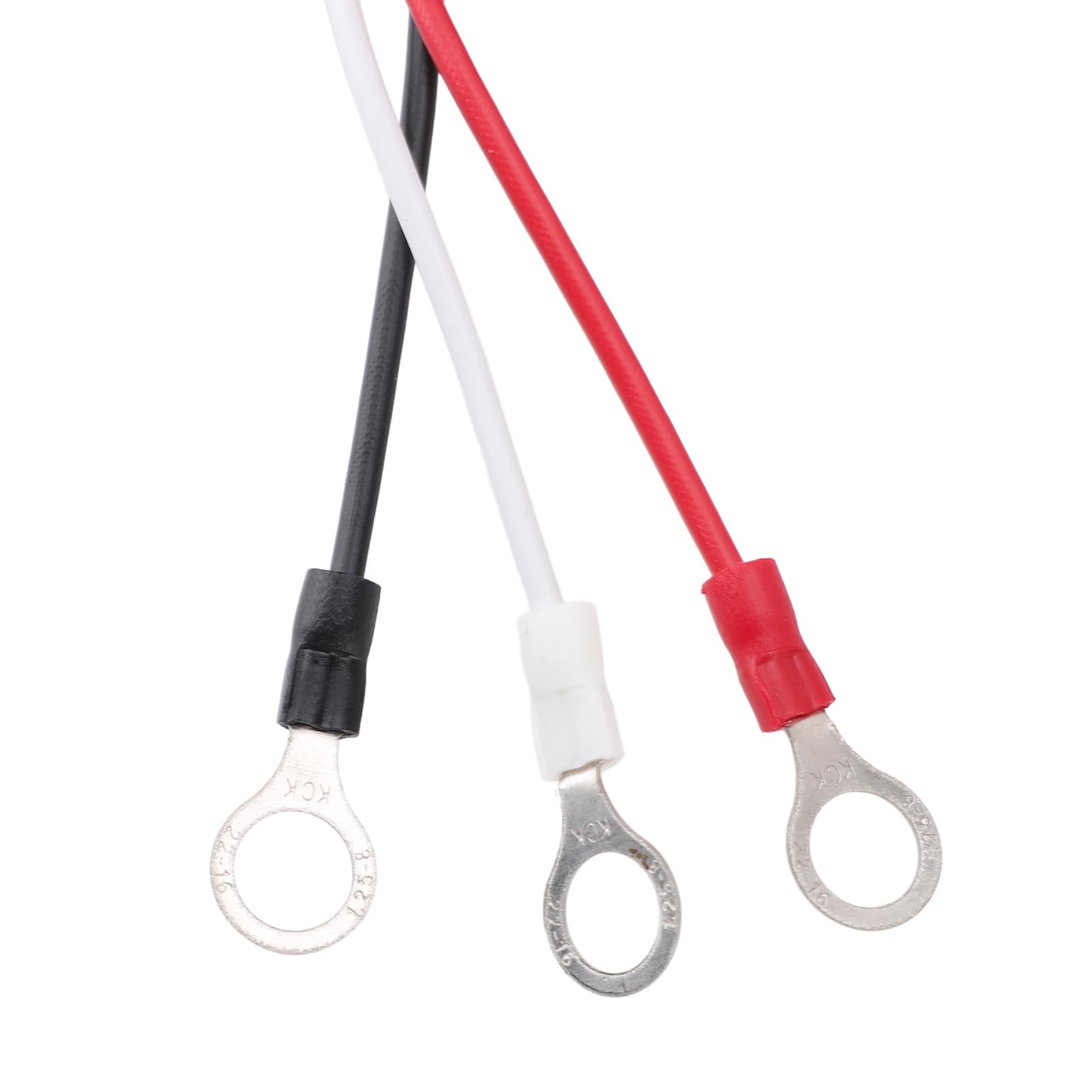 Equalizzatore di Batteria 24V Professionale, Regolatore di Tensione Intelligente Sicurezza Bilanciatore Carica Scaricamento per Sistemi 24V 36V 48V Seria Parallelo