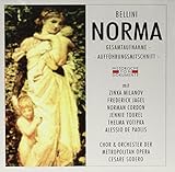  Norma