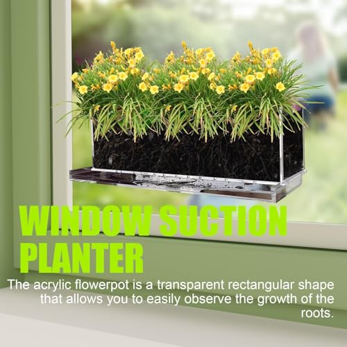 Jardinières à fenêtre transparentes pour fleurs sans percer - 8