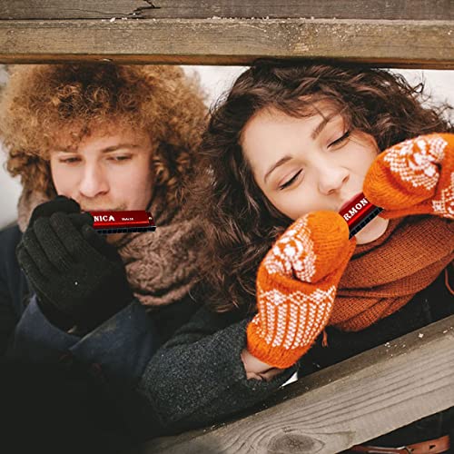 Harmonica en Do, Harmonica Blues Diatonique, Instrument Pour Adultes, Harmonica en do Majeur, Jouets en Harmonica, Harmonica Enfant, Harmonica 24 Trous, Enfants et Débutants Avec étui - Les Beatles, Paul McCartney, John Lennon, RIngo Starr, George Harrison Harmonica en Do, Harmonica Blues Diatonique, Instrument Pour Adultes, Harmonica en do Majeur, Jouets en Harmonica, Harmonica Enfant, Harmonica 24 Trous, Enfants et Débutants Avec étui – Image 7