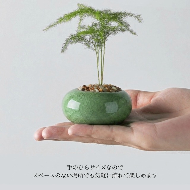 Amazon.co.jp: TUISKU 植木鉢 ミニサイズ 2型セット 筒型 豆鉢 陶器 氷
