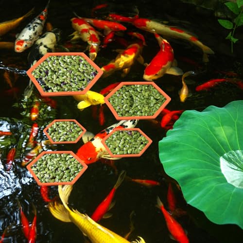 Image of PEUTIER 5pcs Aquarium Floating Plant Rings, Foam Floating Plant Corral Holder Hexagon Fish Feeding Rings Feeding Ring Barrier for Fish Tank Feeder Plant Fence for Keeping Food in Place (Orange)