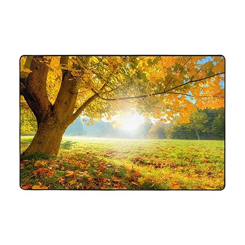 Tapis antidérapant flanelle lavable pour sécuriser le salon - 2