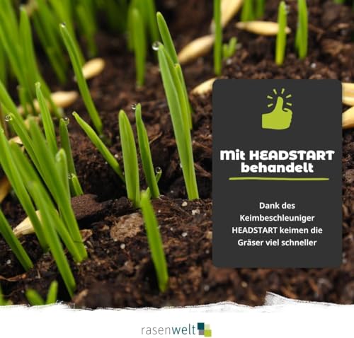 ARENA Premium Golfrasen Saatgut mit Keimbeschleuniger 3kg I Rasensamen tiefschnittverträglich und schnellkeimend I Fairway Ultimate