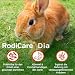 Alfavet RodiCare Dia, Ergänzungsfuttermittel für Zwergkaninchen und Meerschweinchen, bei Durchfall, mit Natriumbutyrat, zuckerfrei, 3 Injektoren à 12 ml