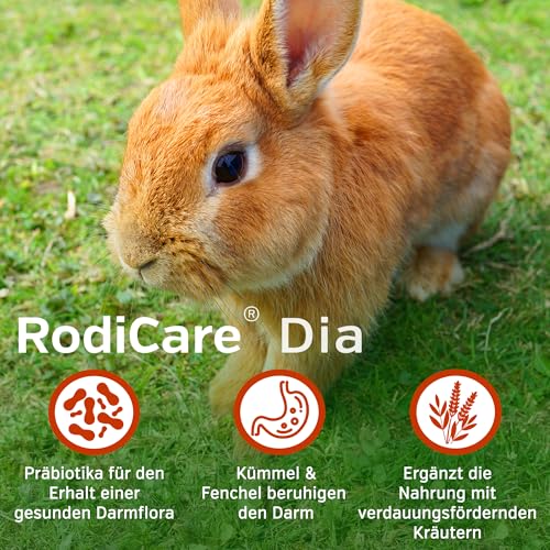 Alfavet RodiCare Dia, Ergänzungsfuttermittel für Zwergkaninchen und Meerschweinchen, bei Durchfall, mit Natriumbutyrat, zuckerfrei, 3 Injektoren à 12 ml