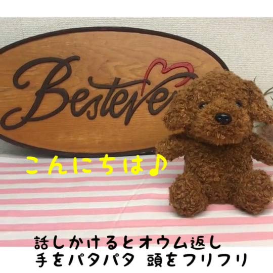 ヴィンテージ　オルゴール付動く　プードルのぬいぐるみ【s0297】 000000003651_PZzYHZ4.jpg