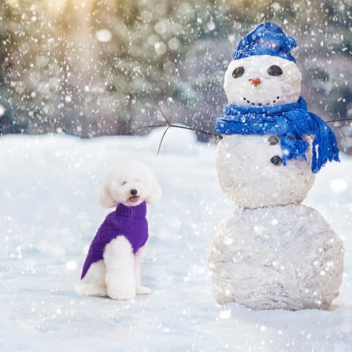 Image of BINGPET Dog Sweater for Small Dogs, Turtleneck Knitted Clothes