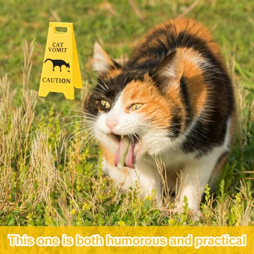 YUZNA 2 Stück Panneau d'avertissement pour chat avec vomissements,Décoration amusante en 3D,Décoration de bureau,Pour les amoureux des chats et les décorations de chat