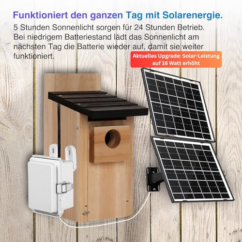 WIWACAM WLAN Solar Kamera für Nistkästen BirdBox