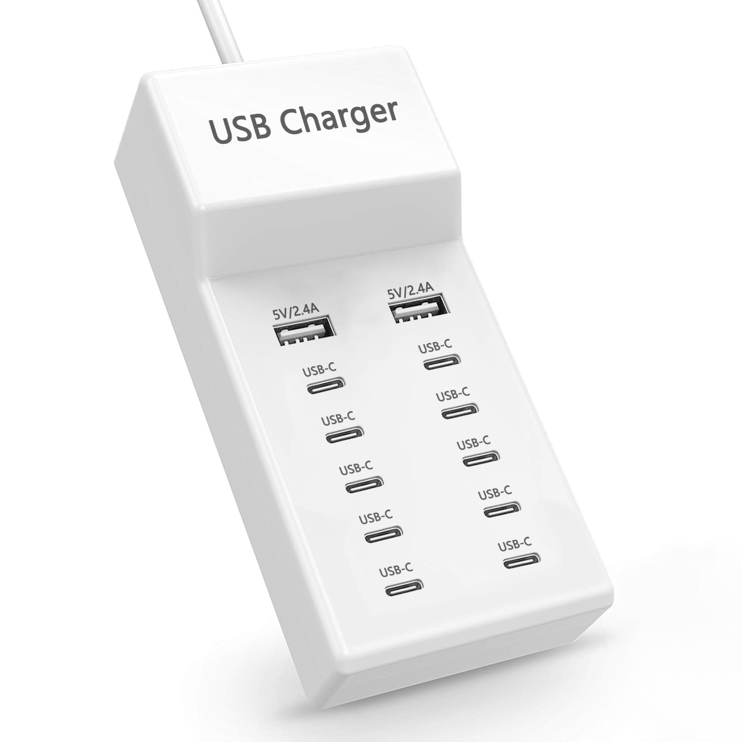 12-Port 60W USB Charging Station, MultiPort Charger [10 USB-C+2 USB-A], Compatible with iPhone/Samsung/Google Pixel/Watch/Headphones