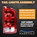 Nakuuly Tail Lights Assembly Compatible With 2002-2006 Dodge Ram 1500 2500 3500 Pickup Halogen Type NON-LED Model Driver and Passenger Side Taillights Brake Signal Rear Lamp with Bulbs and Harness