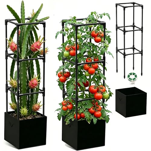 Dragon Fruit Trellis for Climbing Plants Indoor Outdoor Heavy Duty Metal Adjustable Vertical Garden Support for Indoor Outdoor Potted Plants Tomato Cactus Roses Vines(12 * 12 * 47inch 1PC)