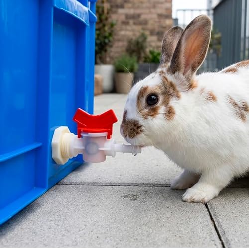 Arrosage pour lapin et volaille pour automatiser l'eau du clapier