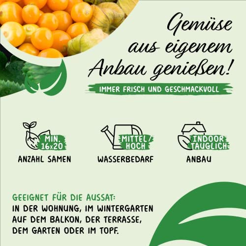 Prademir – Gemüsesamen Set “Indoor-Mix” aus 16 Sorten Premium Gemüse Samen – samenfestes Gemüse Saatgut für Balkon, Gewächshaus, Wohnung, Terrasse & Fensterbank – nahezu 100% Keimrate - Image 5