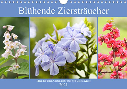 Preisvergleich Produktbild Blühende Ziersträucher (Wandkalender 2021 DIN A4 quer)