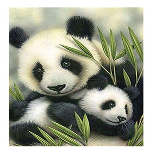 DIY 5D Diamond Painting Kit, Full Drill Animals Panda Painting Supplies for Home Wall Decor Painting Arts Craft (14"x14")