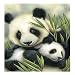 DIY 5D Diamond Painting Kit, Full Drill Animals Panda Rhinestone Painting Supplies for Home Wall Decor Painting Arts Craft (14"x14")