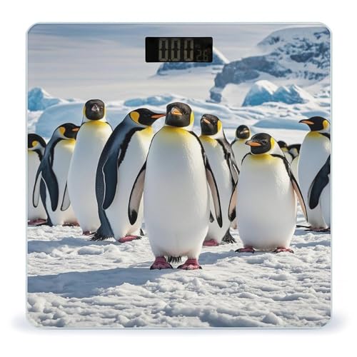 Balanza digital de baño con diseño de pingüino y vidrio templado miniatura 1