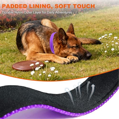Image of Taglory Reflective Extra Large Dog Collar, Comfortable for Safe Night Walks