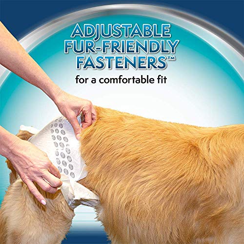 Couches Jetables pour Chiens Simple Solution Taille Moyenne à Haute Capacité d'Absorption - 12