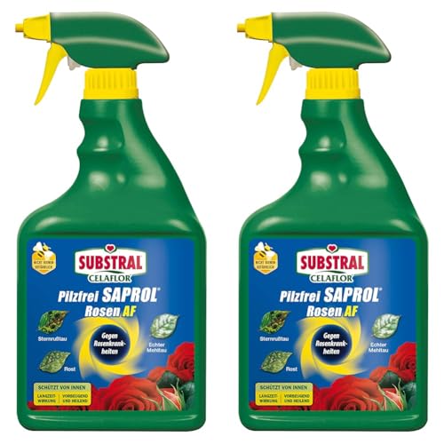 Substral Celaflor Pilzfrei Saprol Rosen AF, anwendungsfertiges Spray gegen Pilzkrankeiten an Rosen, 750 ml (Packung mit 2) Substral Celaflor Pilzfrei Saprol Rosen AF, anwendungsfertiges Spray gegen Pilzkrankeiten an Rosen, 750 ml (Packung mit 2)