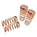Megan Racing MR-LS-HA98 Lowering Springs