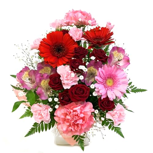 [Flowerfarm(t[t@[)]  ԑ  t[AWg flower v[g 蕨 Mtg a LO j NX}X ̓ ̓ ސE (ԁsNn+N[)