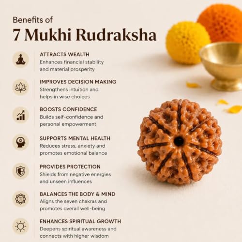 Image of Natural Seven Face Rudraksha Bead for Puja, Japa, Meditation & Spiritual Practices | Authentic Rudraksh for Men & Women (7 Mukhi Rudraksha)