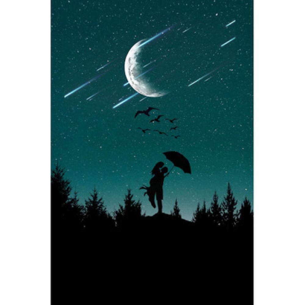 Diamond painting 5D lune strass carrés en résine art mosaïque complet