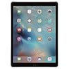 Apple iPad Pro 9.7 32GB 4G – Gris Espacial – Desbloqueado (Reacondicionado)