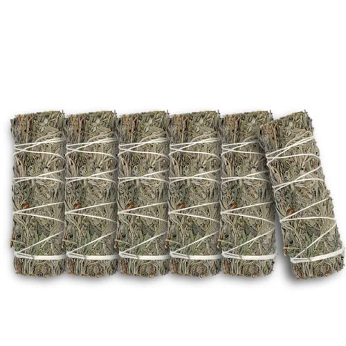ESPOIR & AMOUR Blue Sage - 6 Spiritual Sage Smudge Sticks for Smudging, Healing and Ritual | Hand-Tied Desert Sage Sticks to Cleanse Negativity | Sustainably Harvested 4 Inch Sage Sticks