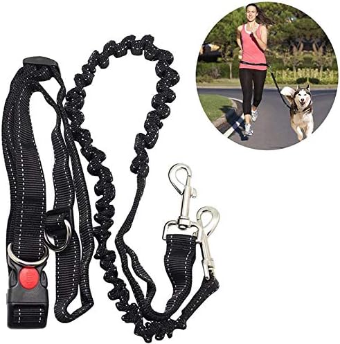 Hands Free Running Dog Lead, Multifunctional Adjustable Dog Leash, Dog Walking Lead, Adjustable Dog Seat Belt With Elastic Bungee And Reflective Stripe For Puppy, Large Dog Lead