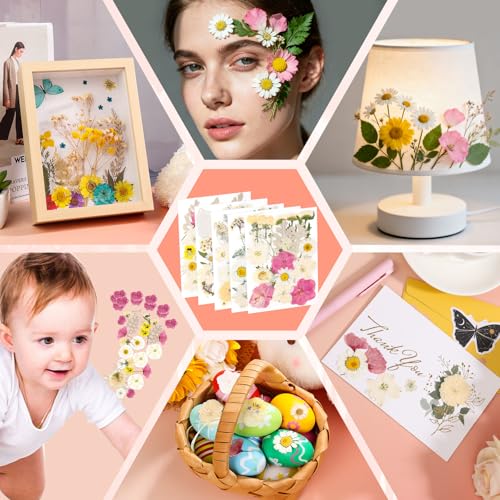 Image of Dried Pressed Flowers for Resin, Real Pressed Flowers Dry Leaves Bulk Natural Herbs Kit for Scrapbooking Art Crafts Epoxy Resin Jewelry Mold Candle Soap Making Nails Decor (White & Pink Floral)