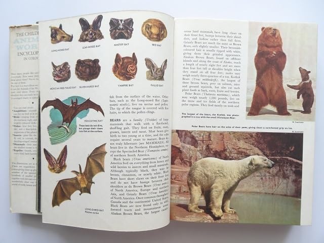 SFビジュアル百科事典 洋書 SFビジュアル百科事典 洋書 SFビジュアル百科事典 洋書 本