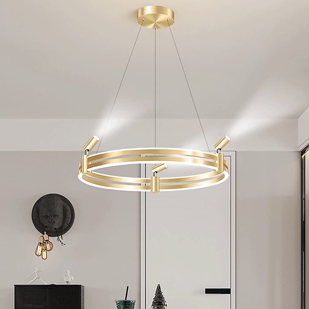 Amazon.com: Ring Pendant Light, Single Circle Electroplating Iron