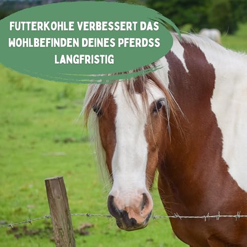 Futterkohle für Pferde 500g – 100% pflanzlich & naturbelassen | Premium Kohlegranulat zur täglichen Fütterung | staubarm & geruchsneutral | hochwertige Ergänzung für ausgewogene Pferdeernährung