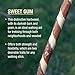 Brazos Rustic Wood Walking Stick, Twisted Sweet Gum, Traditional Style Handle, for Men & Women, Made in the USA, 48